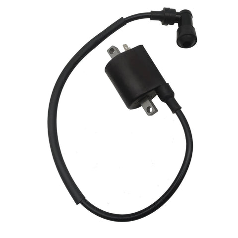 Ignition Coil and Wire fits Fit For Linhai 260 300