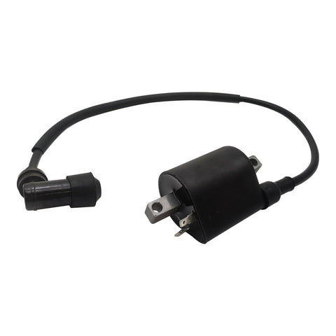 Ignition Coil and Wire fits Fit For Linhai 260 300