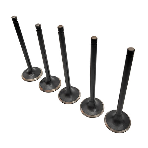 1 SET Intake Valve Exhaust Valve for Hisun 700 ATV