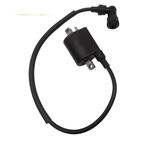 Ignition Coil and Wire for Linhai 260 300 400 500 