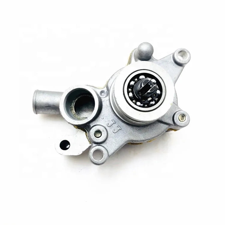 Water Pump Assembly Fit For Lin-hai Gray Wolf 260 